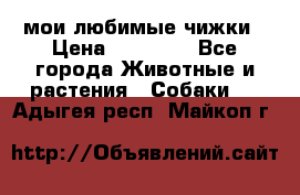 мои любимые чижки › Цена ­ 15 000 - Все города Животные и растения » Собаки   . Адыгея респ.,Майкоп г.